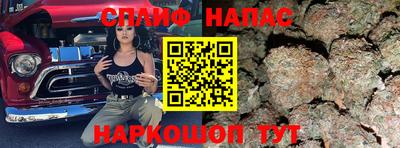 стафф Будённовск