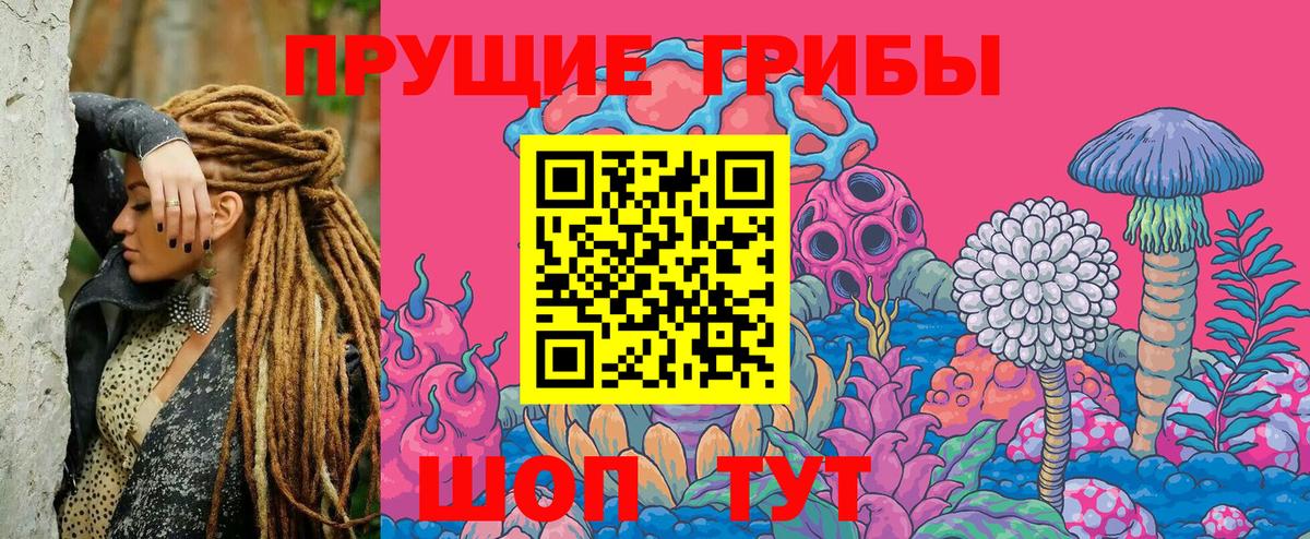 Галлюциногенные грибы Cubensis Родники