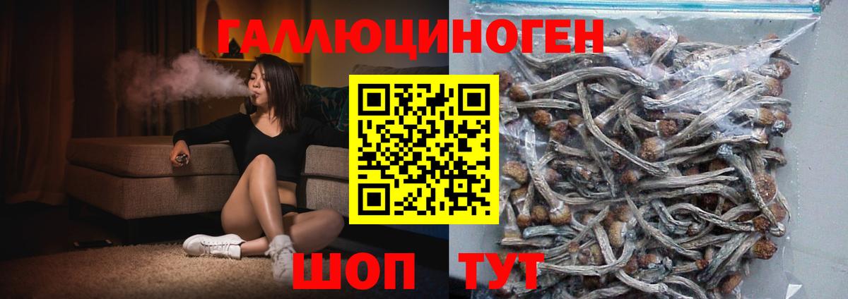 Псилоцибиновые грибы Psilocybe  Вход с VPN  Родники 